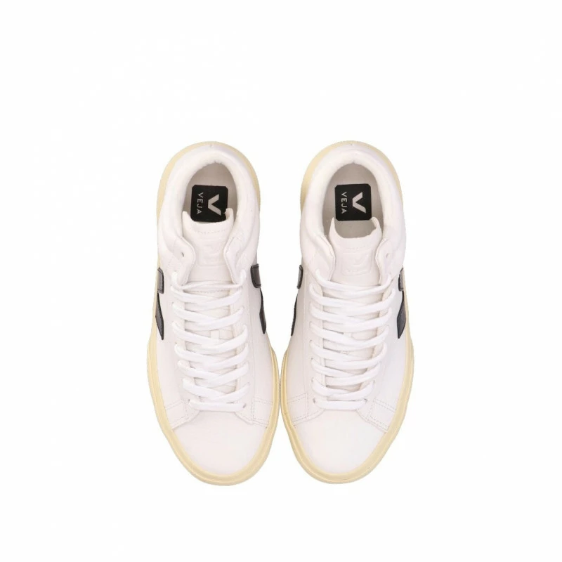 Veja Minotaur 6 Veja Minotaur – Image 4